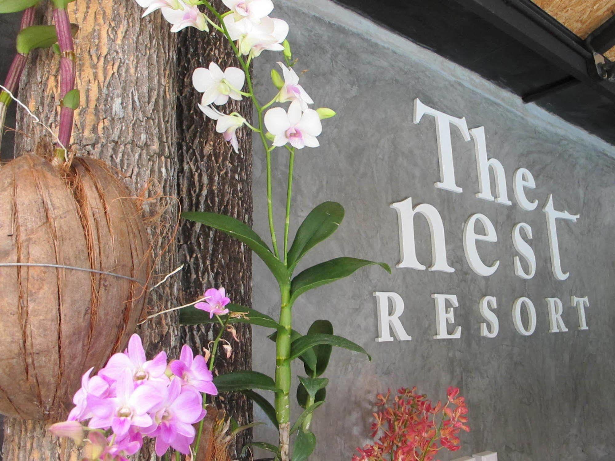 The Nest Resort Patong المظهر الخارجي الصورة