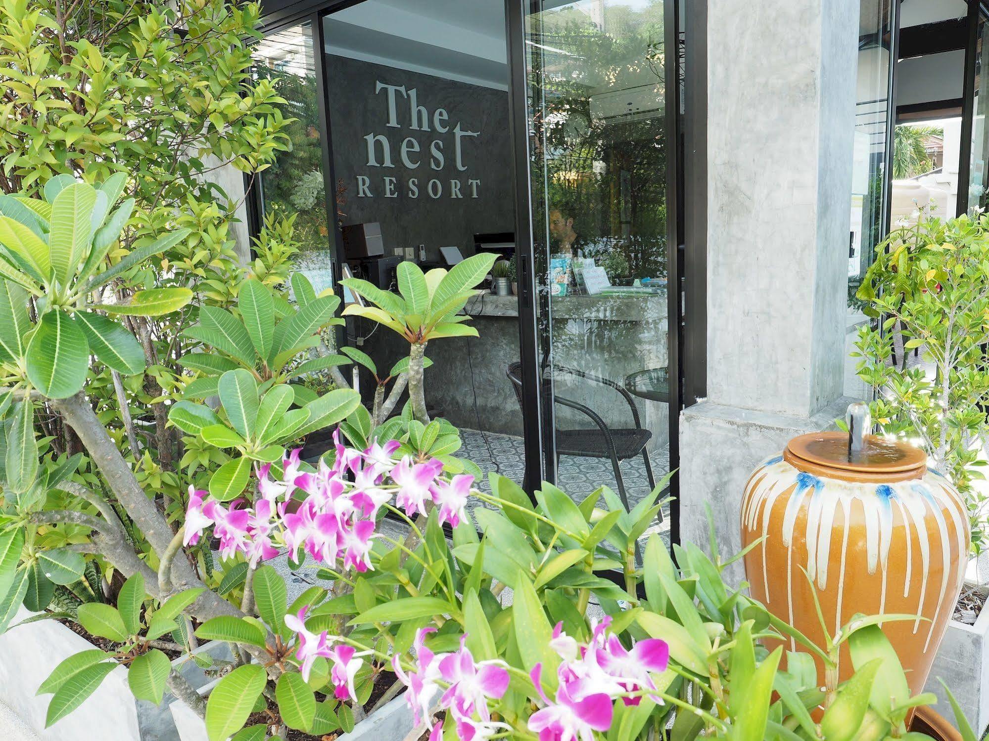 The Nest Resort Patong المظهر الخارجي الصورة